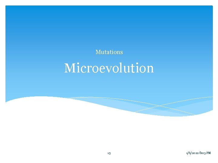 Mutations Microevolution 15 1/6/2022 8: 03 PM 