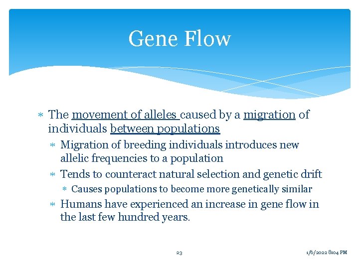 Gene Flow The movement of alleles caused by a migration of individuals between populations