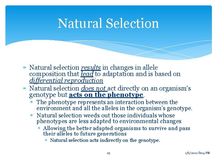 Natural Selection Natural selection results in changes in allele composition that lead to adaptation