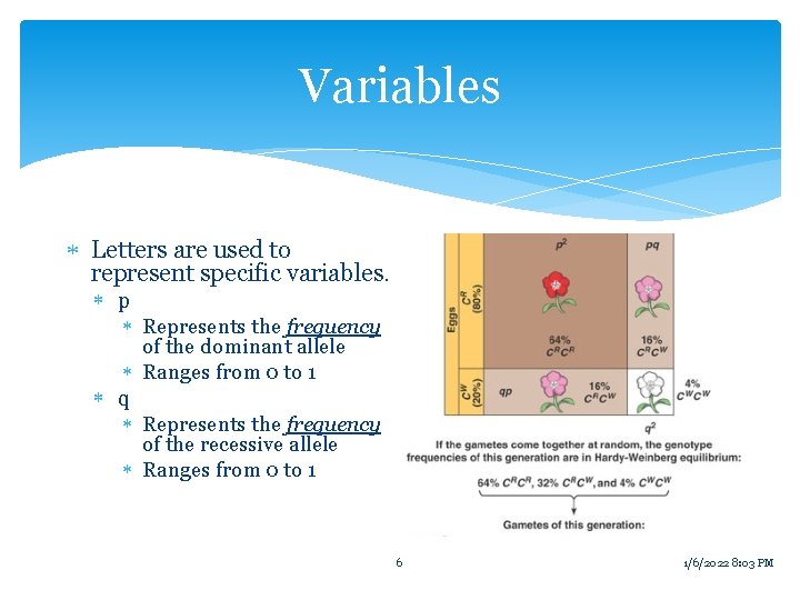 Variables Letters are used to represent specific variables. p Represents the frequency of the