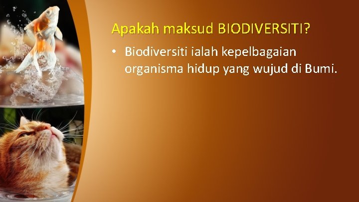 Apakah maksud BIODIVERSITI? • Biodiversiti ialah kepelbagaian organisma hidup yang wujud di Bumi. 