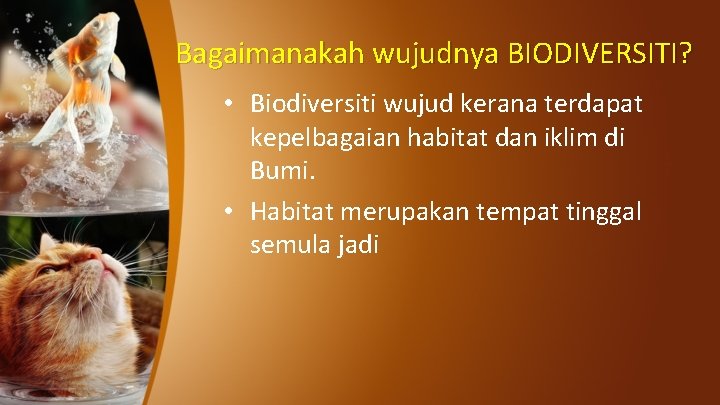 Bagaimanakah wujudnya BIODIVERSITI? • Biodiversiti wujud kerana terdapat kepelbagaian habitat dan iklim di Bumi.