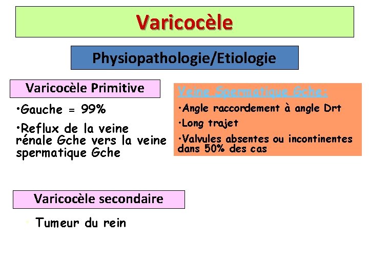 Varicocèle Physiopathologie/Etiologie Varicocèle Primitive • Gauche = 99% • Reflux de la veine rénale