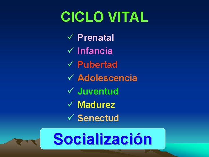 CICLO VITAL ü ü ü ü Prenatal Infancia Pubertad Adolescencia Juventud Madurez Senectud Socialización
