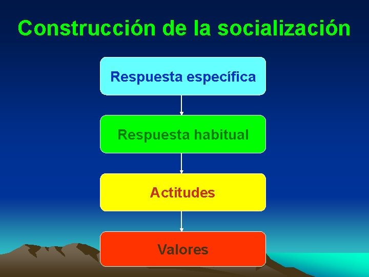 Construcción de la socialización Respuesta específica Respuesta habitual Actitudes Valores 