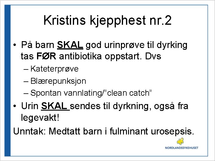 Kristins kjepphest nr. 2 • På barn SKAL god urinprøve til dyrking tas FØR