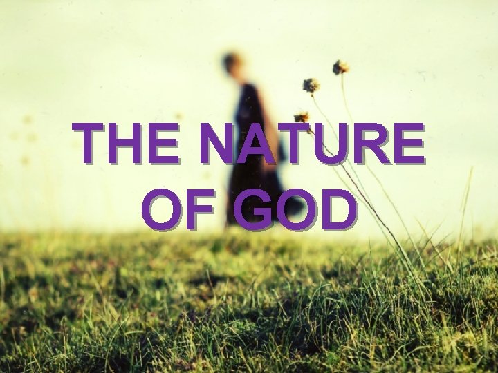THE NATURE OF GOD 