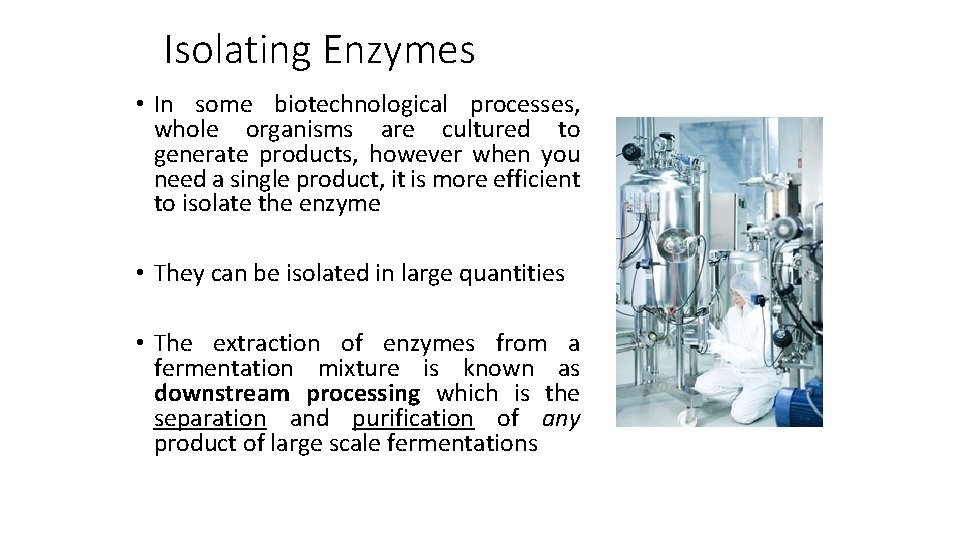 Isolating Enzymes • In some biotechnological processes, whole organisms are cultured to generate products,