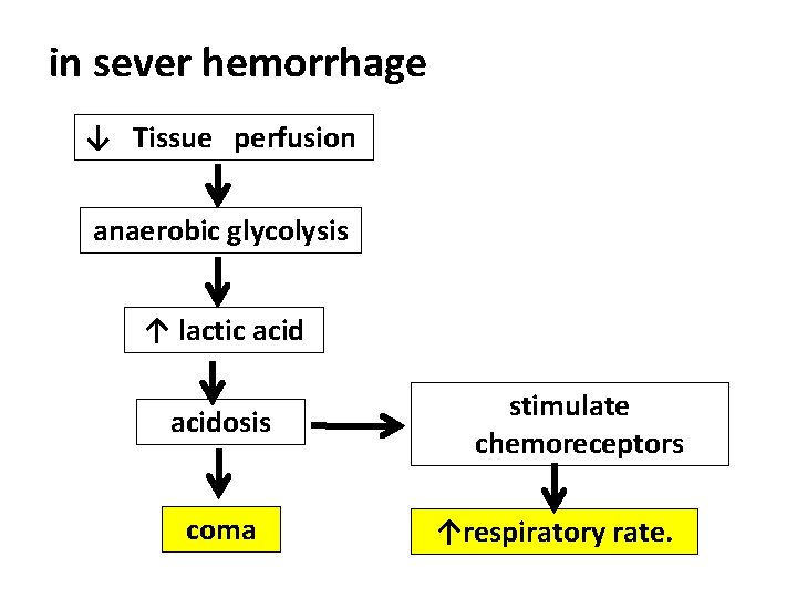 in sever hemorrhage ↓ Tissue perfusion anaerobic glycolysis ↑ lactic acidosis coma stimulate chemoreceptors