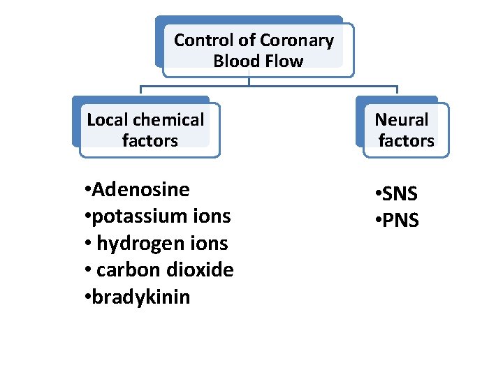 Control of Coronary Blood Flow Local chemical factors Neural factors • Adenosine • potassium