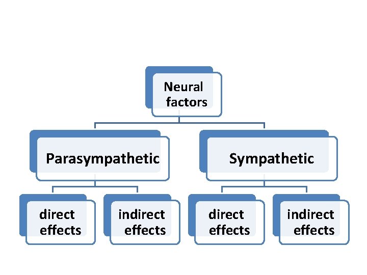 Neural factors Parasympathetic direct effects indirect effects Sympathetic direct effects indirect effects 