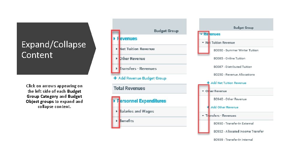 Expand/Collapse Content Click on arrows appearing on the left side of each Budget Group