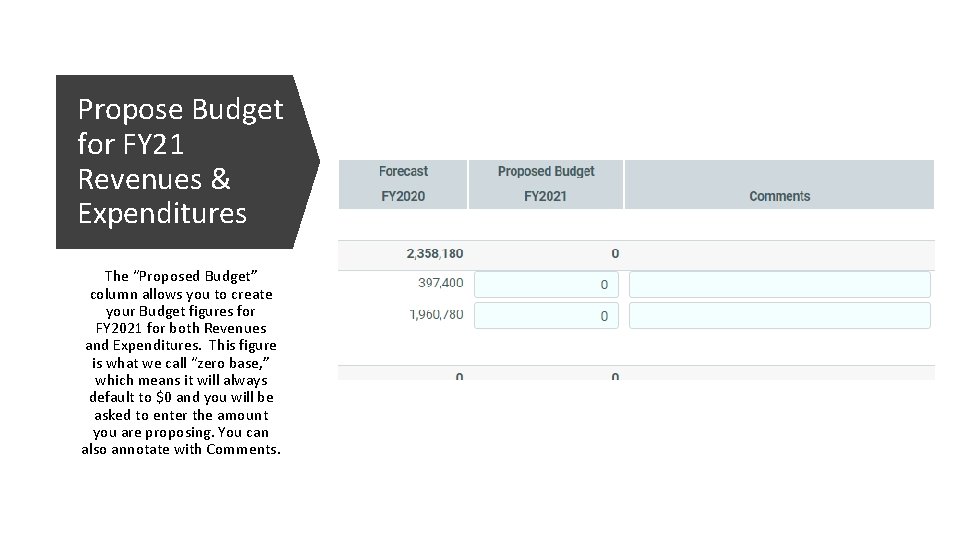 Propose Budget for FY 21 Revenues & Expenditures The “Proposed Budget” column allows you