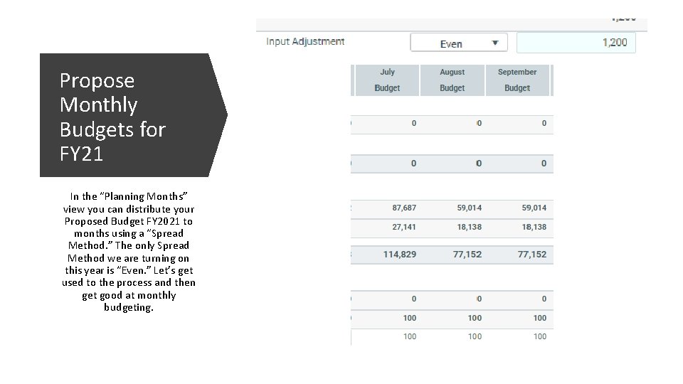 Propose Monthly Budgets for FY 21 In the “Planning Months” view you can distribute