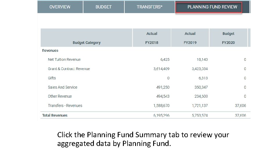 Click the Planning Fund Summary tab to review your aggregated data by Planning Fund.