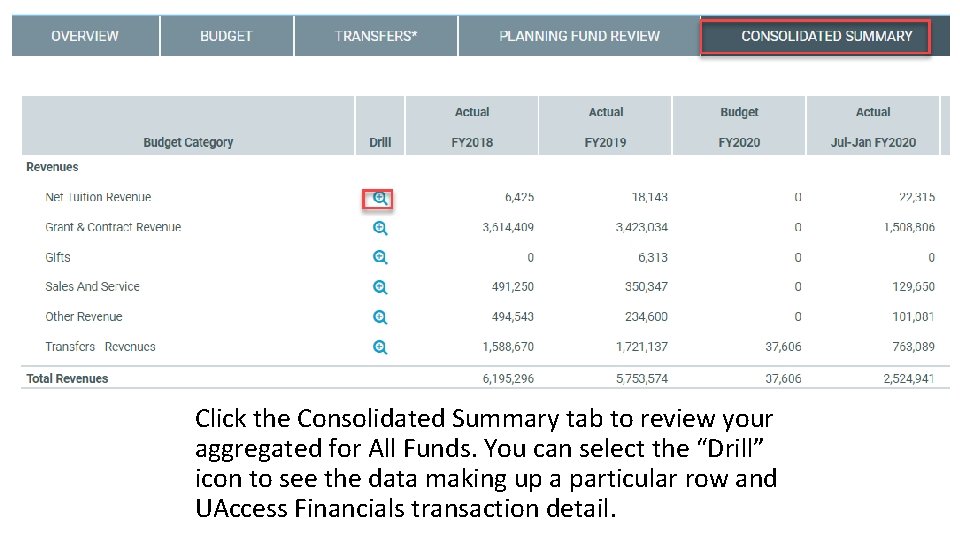 Click the Consolidated Summary tab to review your aggregated for All Funds. You can