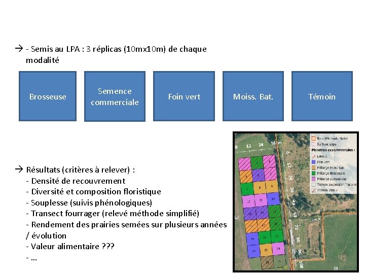 à - Semis au LPA : 3 réplicas (10 mx 10 m) de chaque