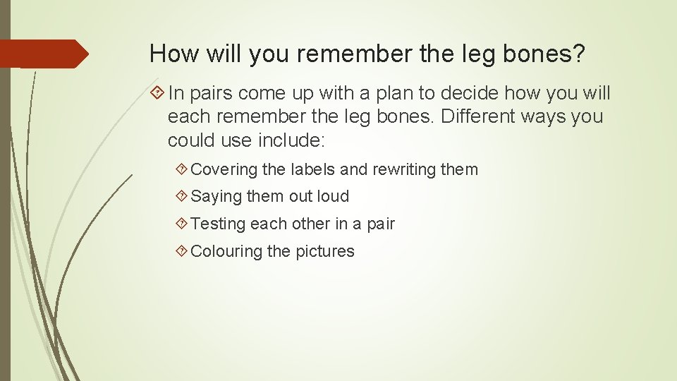 How will you remember the leg bones? In pairs come up with a plan