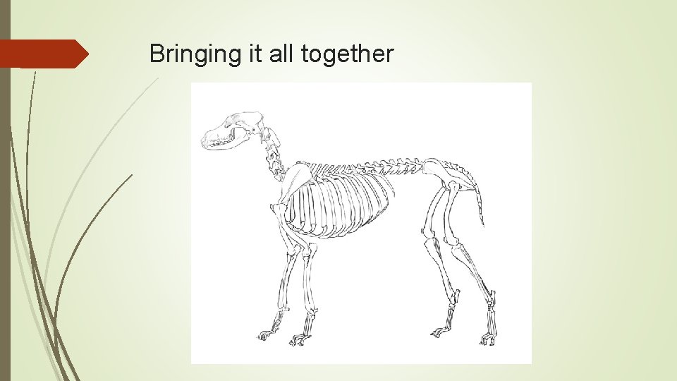 Bringing it all together 
