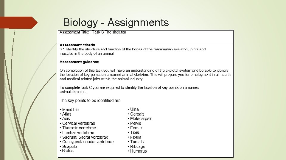 Biology - Assignments 