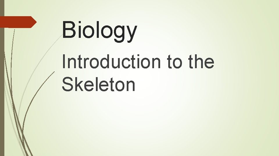 Biology Introduction to the Skeleton 