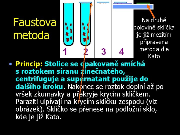 Faustova metoda Na druhé polovině sklíčka je již mezitím připravena metoda dle Kato •