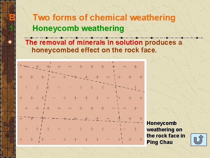 B Two forms of chemical weathering 1 Honeycomb weathering The removal of minerals in