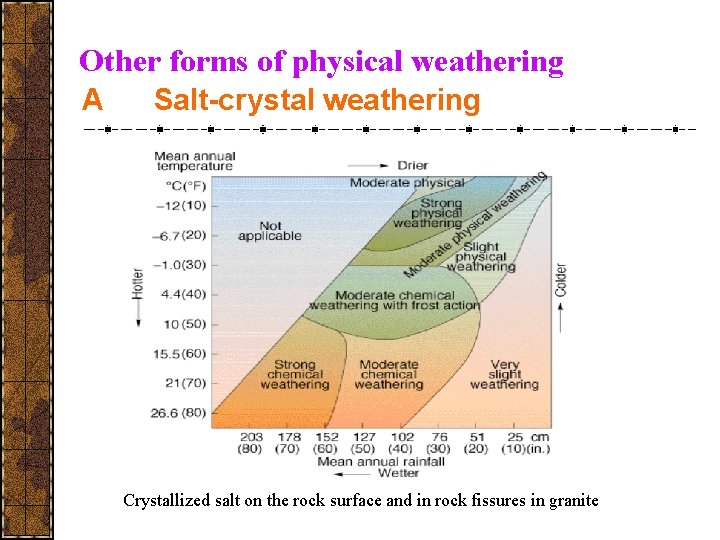 Other forms of physical weathering A Salt-crystal weathering Crystallized salt on the rock surface