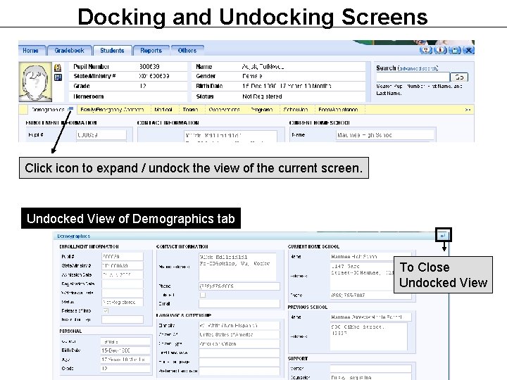 Docking and Undocking Screens Click icon to expand / undock the view of the Docking and Undocking Screens Click icon to expand / undock the view of the