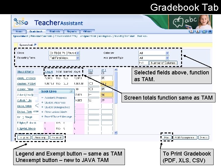 Gradebook Tab Selected fields above, function as TAM. Screen totals function same as TAM Gradebook Tab Selected fields above, function as TAM. Screen totals function same as TAM