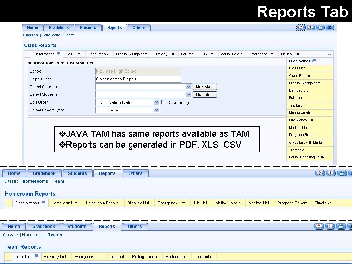 Reports Tab v. JAVA TAM has same reports available as TAM v. Reports can Reports Tab v. JAVA TAM has same reports available as TAM v. Reports can