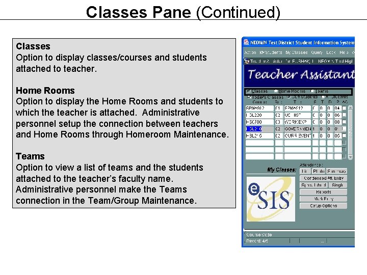 Classes Pane (Continued) Classes Option to display classes/courses and students attached to teacher. Home Classes Pane (Continued) Classes Option to display classes/courses and students attached to teacher. Home