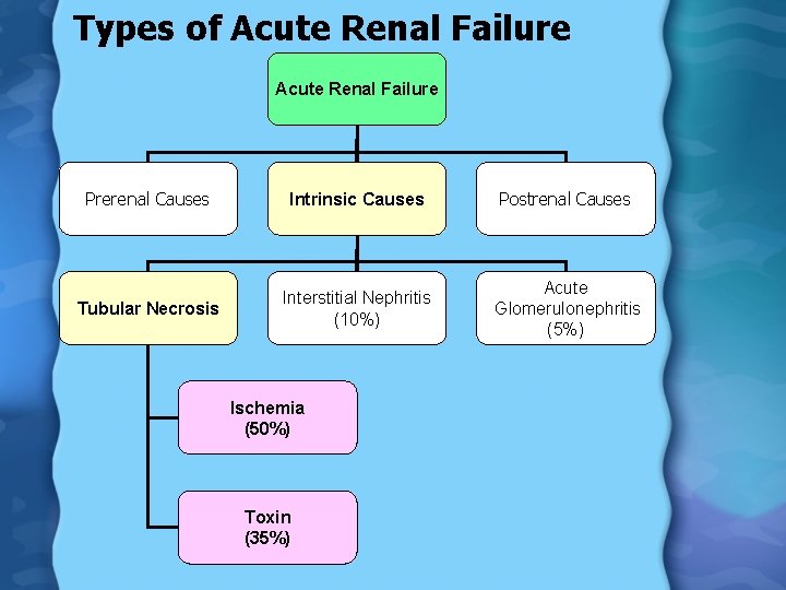 Types of Acute Renal Failure Prerenal Causes Intrinsic Causes Postrenal Causes Tubular Necrosis Interstitial