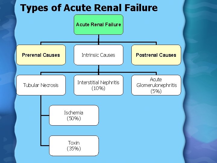 Types of Acute Renal Failure Prerenal Causes Intrinsic Causes Postrenal Causes Tubular Necrosis Interstitial