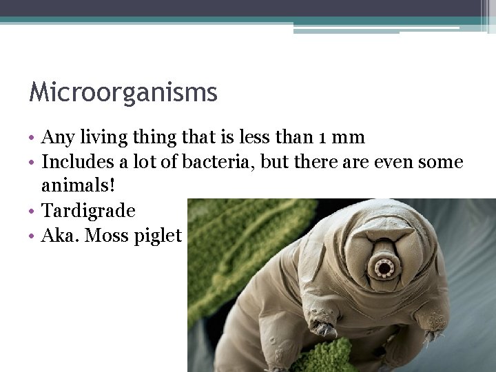 Microorganisms • Any living that is less than 1 mm • Includes a lot