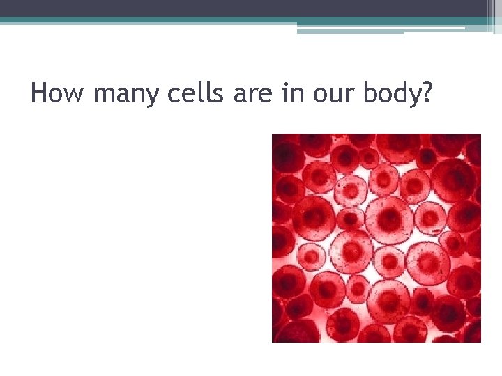 How many cells are in our body? 