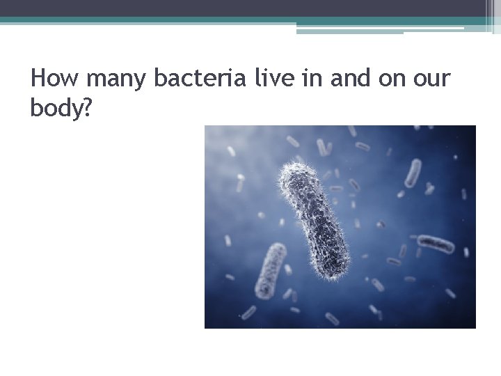 How many bacteria live in and on our body? 