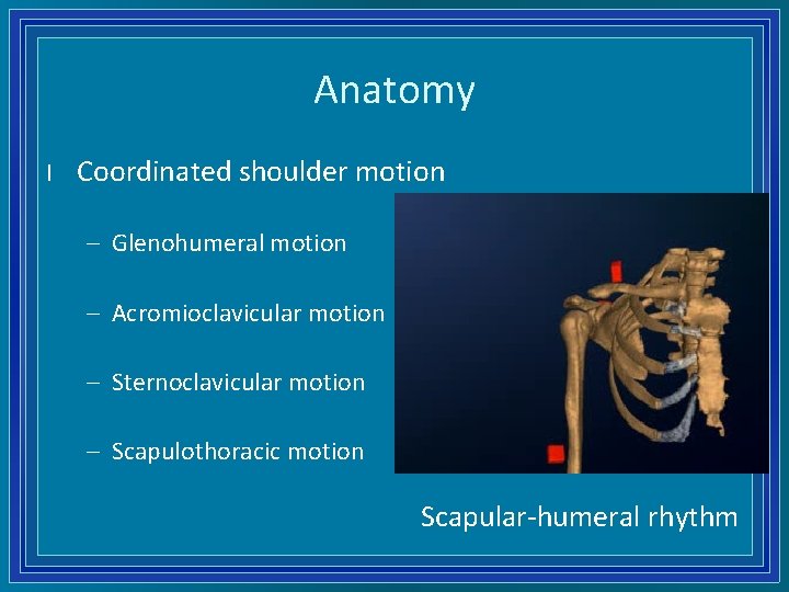 Anatomy l Coordinated shoulder motion – Glenohumeral motion – Acromioclavicular motion – Sternoclavicular motion