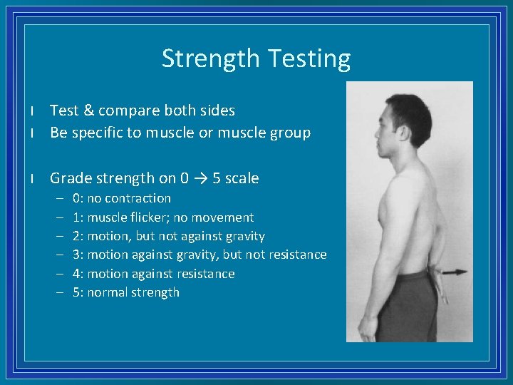 Strength Testing l Test & compare both sides Be specific to muscle or muscle