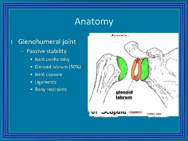 Anatomy l Glenohumeral joint – Passive stability • • • Joint conformity Glenoid labrum