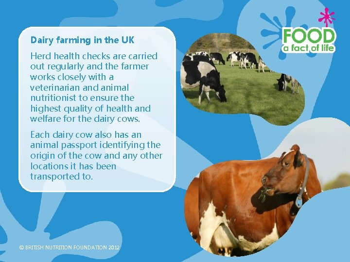 Dairy farming in the UK Herd health checks are carried out regularly and the