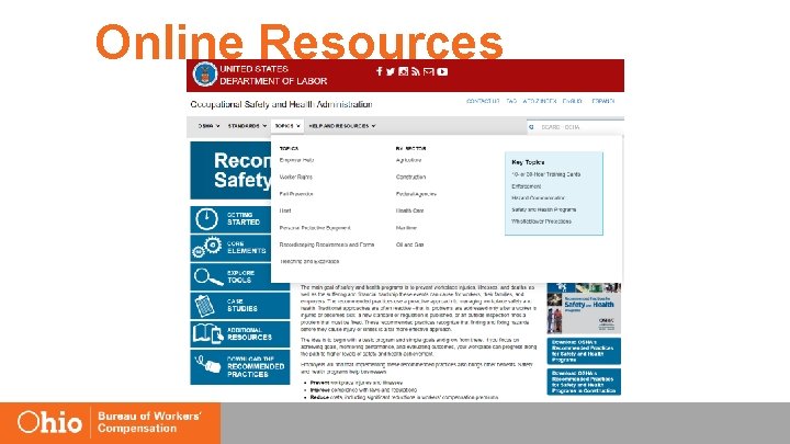 Online Resources 