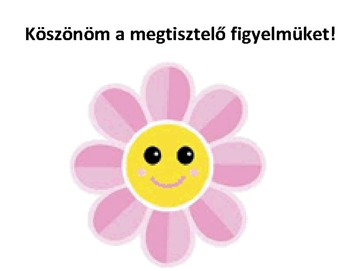 Köszönöm a megtisztelő figyelmüket! 