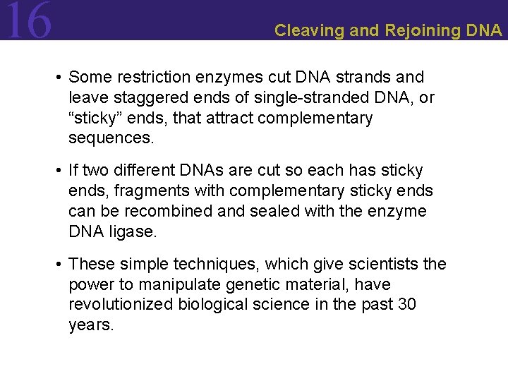 16 Cleaving and Rejoining DNA • Some restriction enzymes cut DNA strands and leave