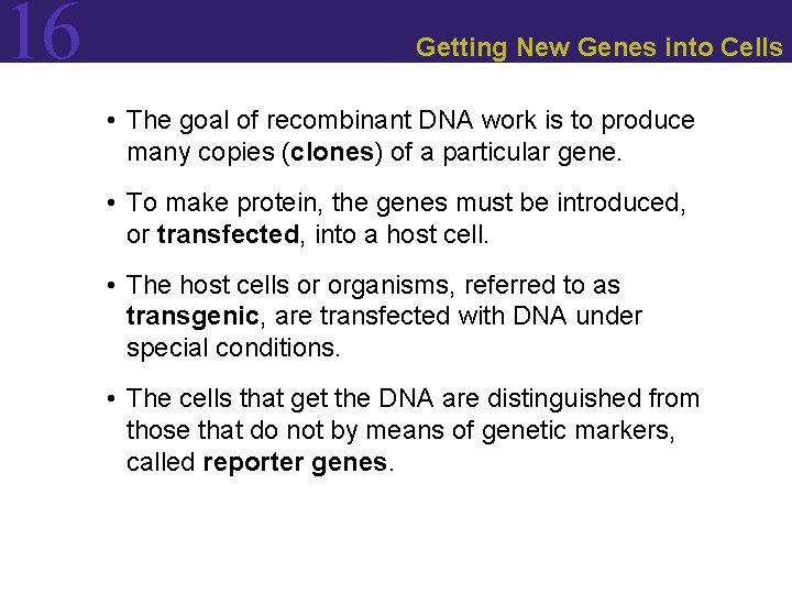 16 Getting New Genes into Cells • The goal of recombinant DNA work is