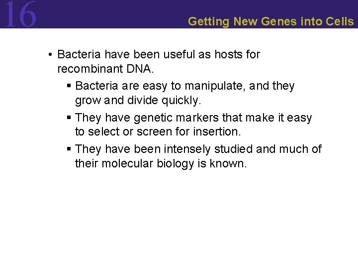 16 Getting New Genes into Cells • Bacteria have been useful as hosts for