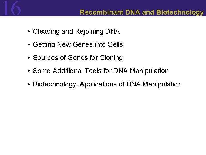 16 Recombinant DNA and Biotechnology • Cleaving and Rejoining DNA • Getting New Genes