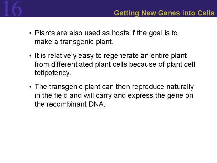 16 Getting New Genes into Cells • Plants are also used as hosts if