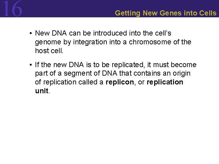 16 Getting New Genes into Cells • New DNA can be introduced into the