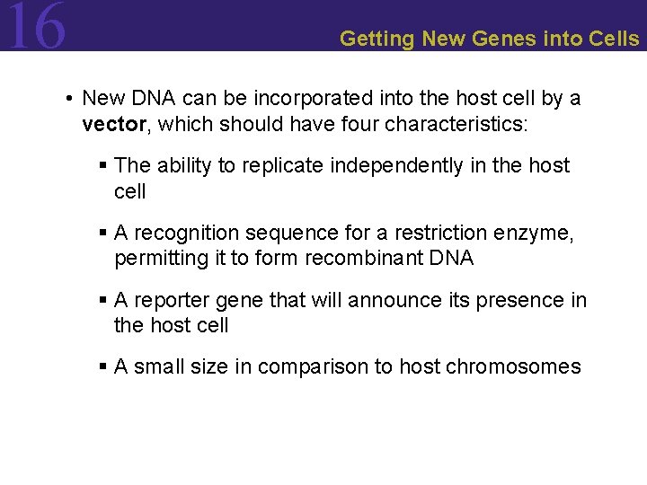 16 Getting New Genes into Cells • New DNA can be incorporated into the